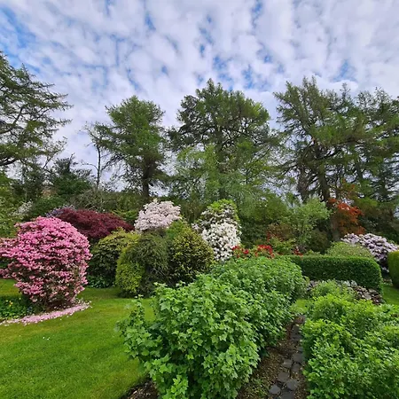 Glenrigh House - Beautiful Garden With Old Church Ruin Onich Exterior photo
