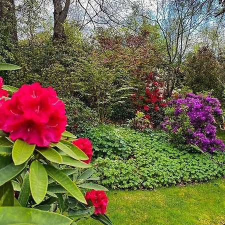 Glenrigh House - Beautiful Garden With Old Church Ruin Onich Exterior photo