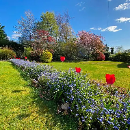 Glenrigh House - Beautiful Garden With Old Church Ruin Onich Exterior photo