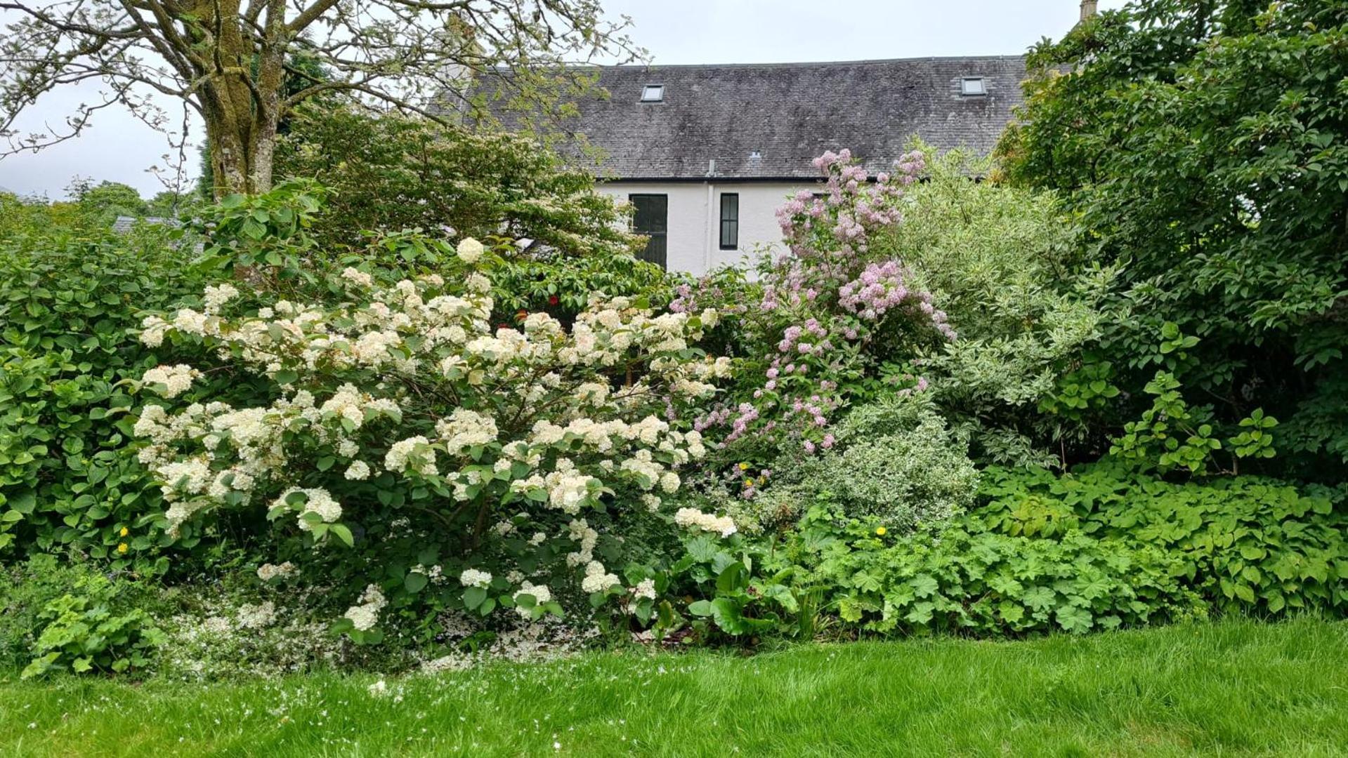 Glenrigh House - Beautiful Garden With Old Church Ruin Onich