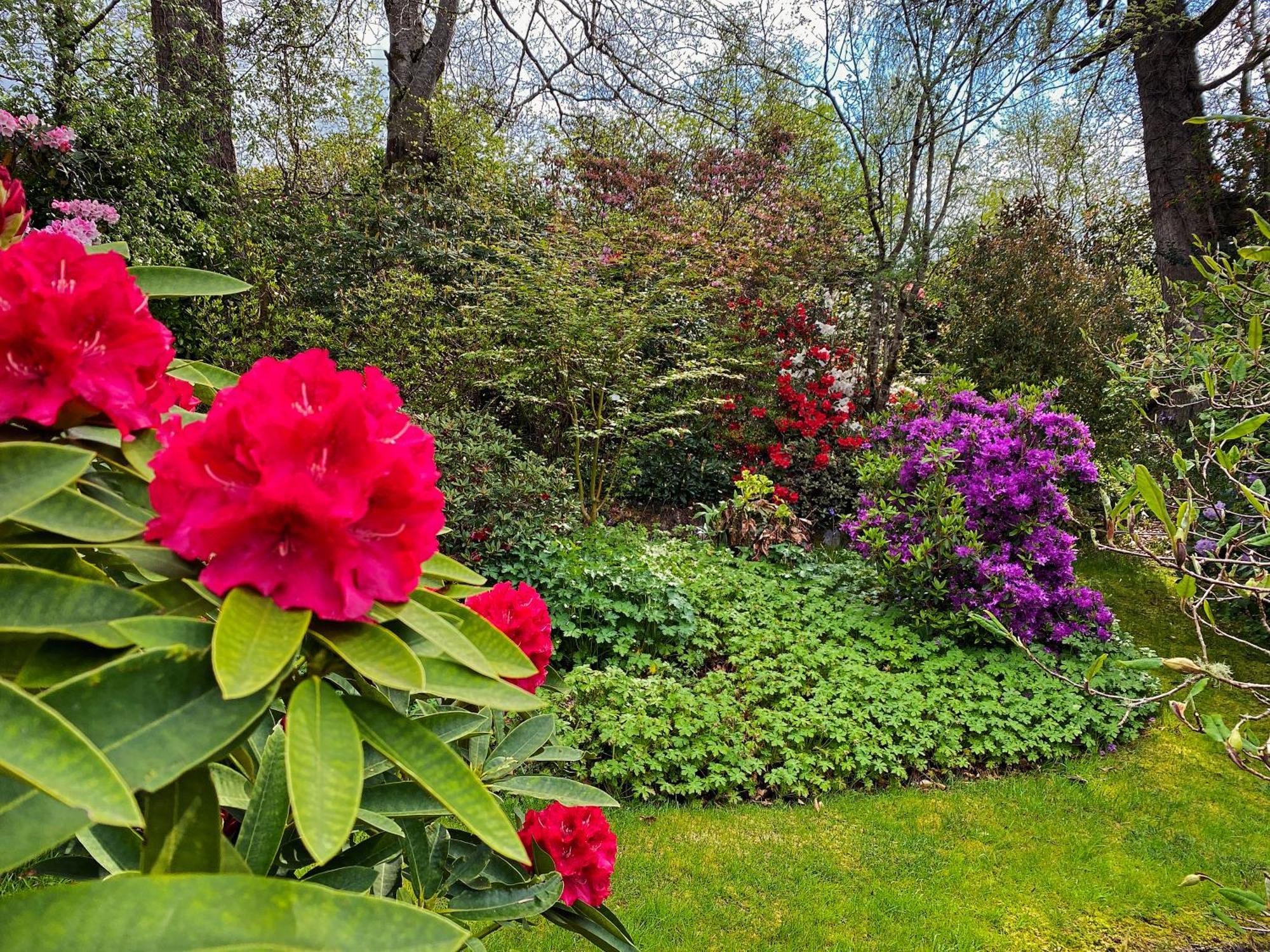 Glenrigh House - Beautiful Garden With Old Church Ruin *