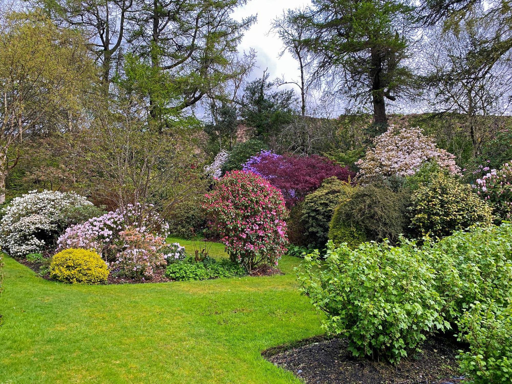 Glenrigh House - Beautiful Garden With Old Church Ruin * Onich
